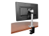 StarTech.com Monitor Desk Mount - Tillbaka