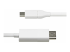 StarTech.com 6.6ft (2m) USB C to DisplayPort 1.2 Cable, Bidirectional - Framsidan